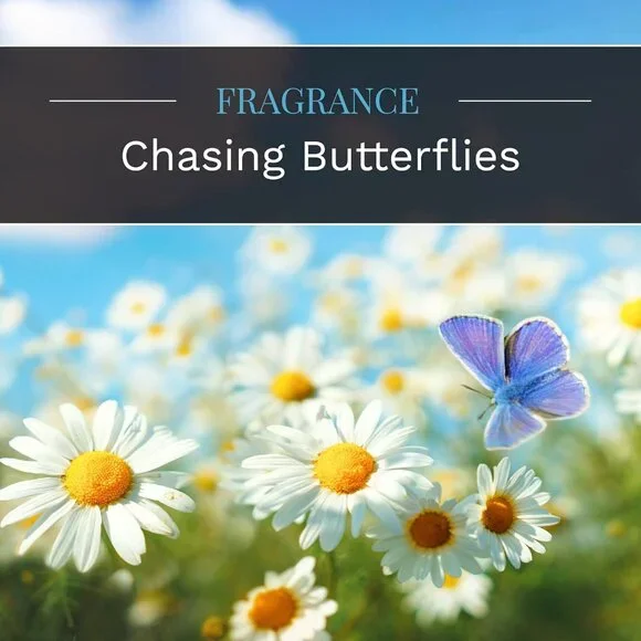 Everday Chasing Butterflies Scented Candle, 18 oz. Aromatherapy Candle, Off-Whit - Picture 4 of 9